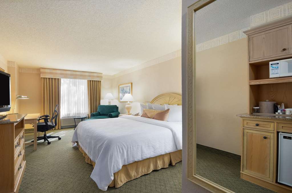 Hilton Garden Inn Atlanta North/Johns Creek Habitación foto
